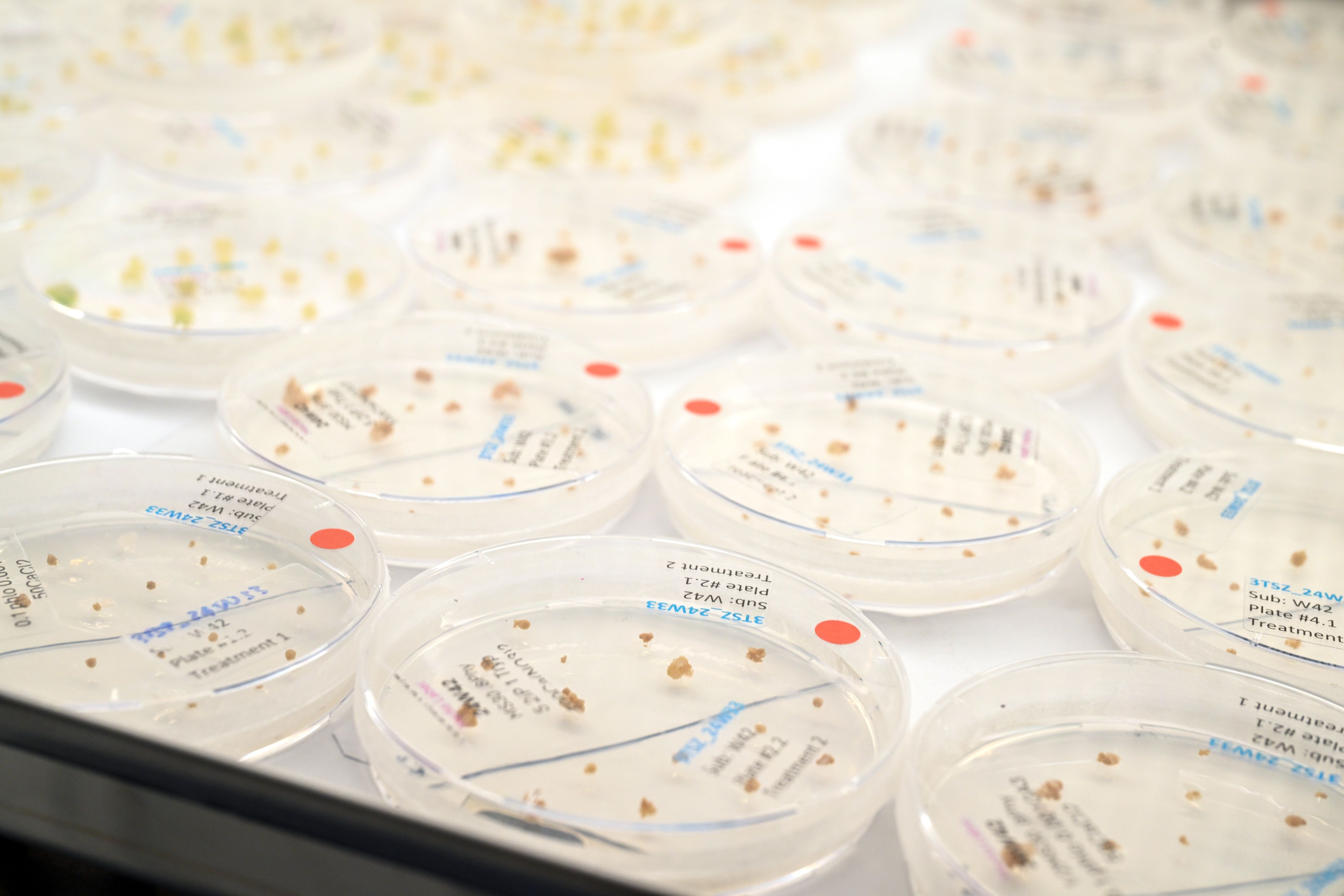 eb241028 wageningen hudson128k.jpg