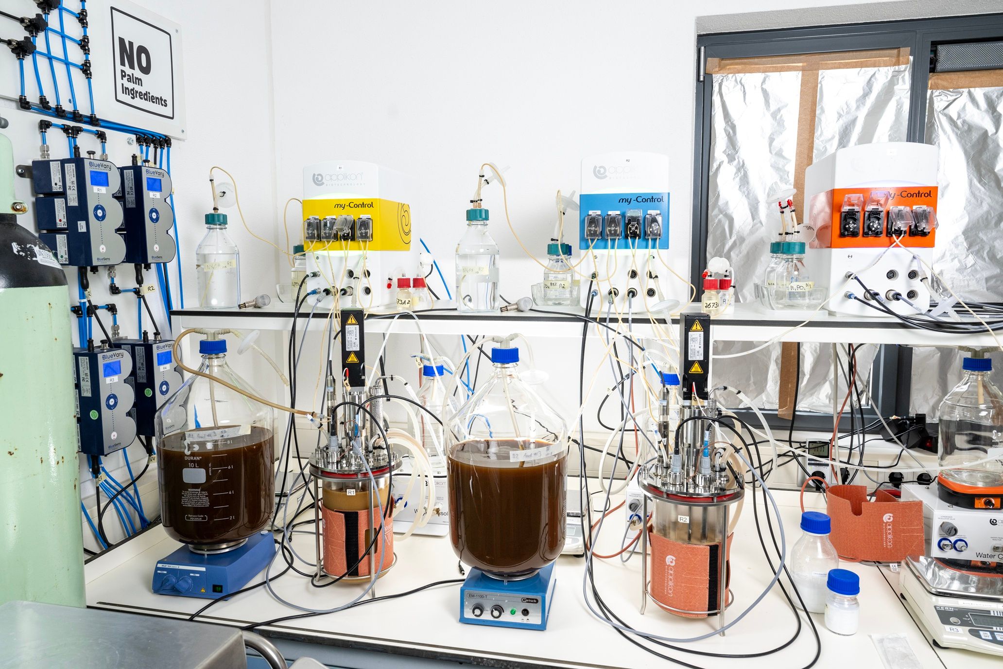 eb250714 wageningen nopalm018 kopie.jpg